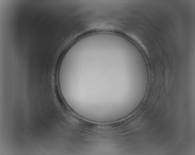 X0000074230487200608250820