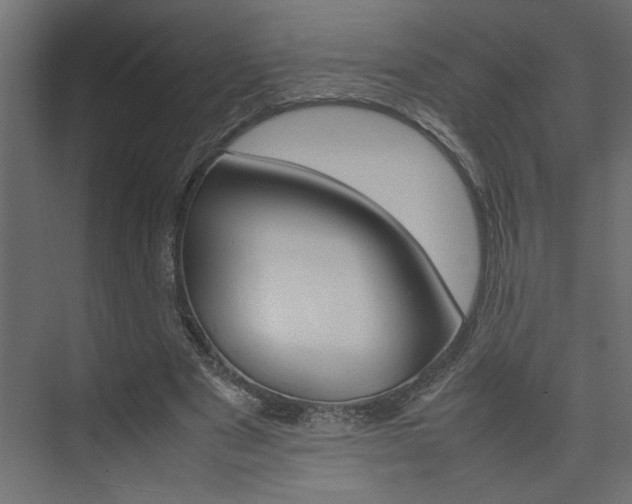 X0000074230489200608250820