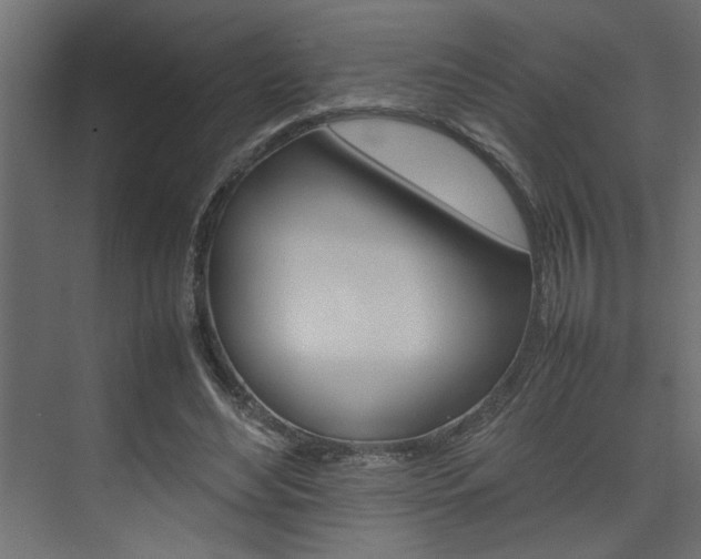 X0000074230492200608250820
