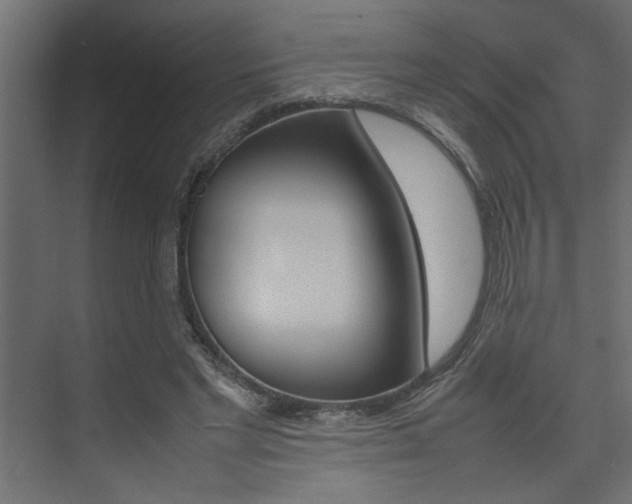 X0000074230493200608250820