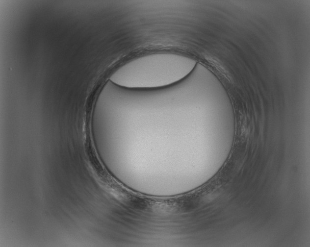 X0000074230494200608250820