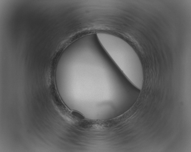 X0000074230496200608250820