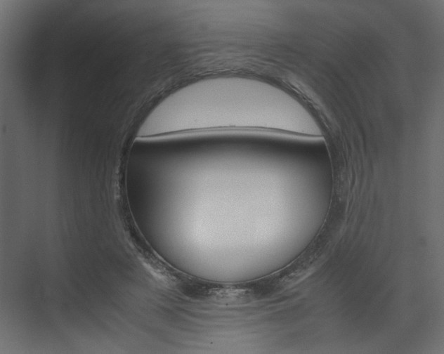 X0000074230497200608250820