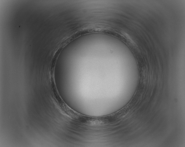 X0000074230500200608250820