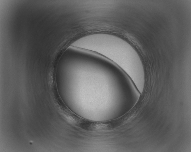 X0000074230501200608250820