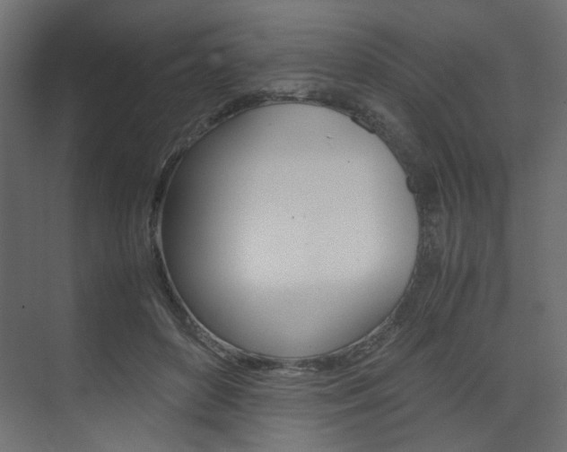 X0000074230504200608250820