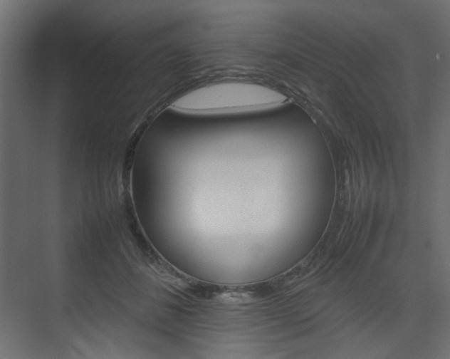 X0000074230508200608250820