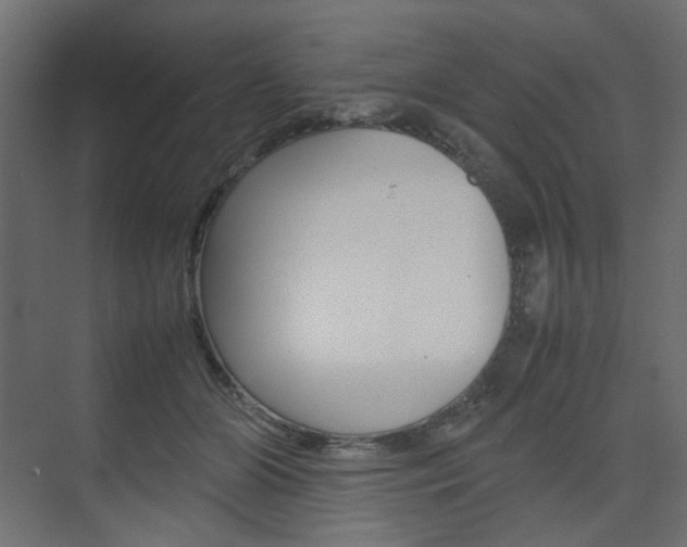 X0000074230510200608250820