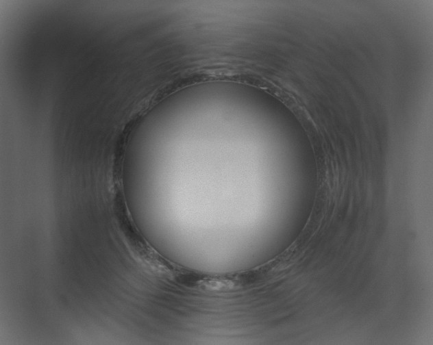 X0000074230512200608250820