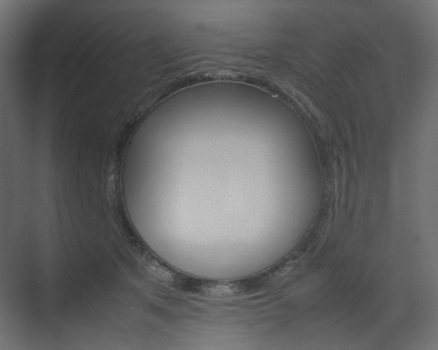 X0000074230513200608250820