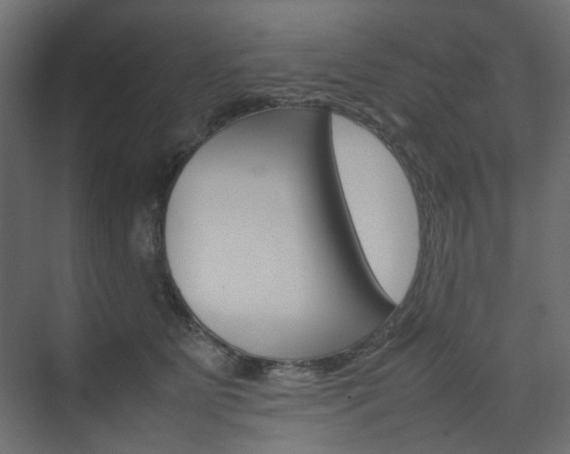 X0000074230515200608250820