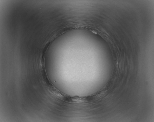 X0000074230516200608250820