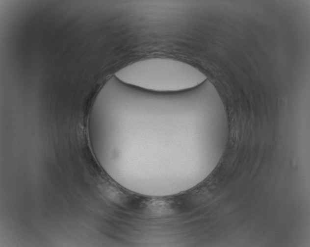 X0000074230518200608250819