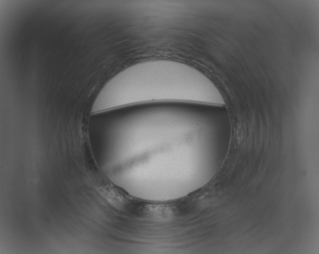 X0000074230520200608250819