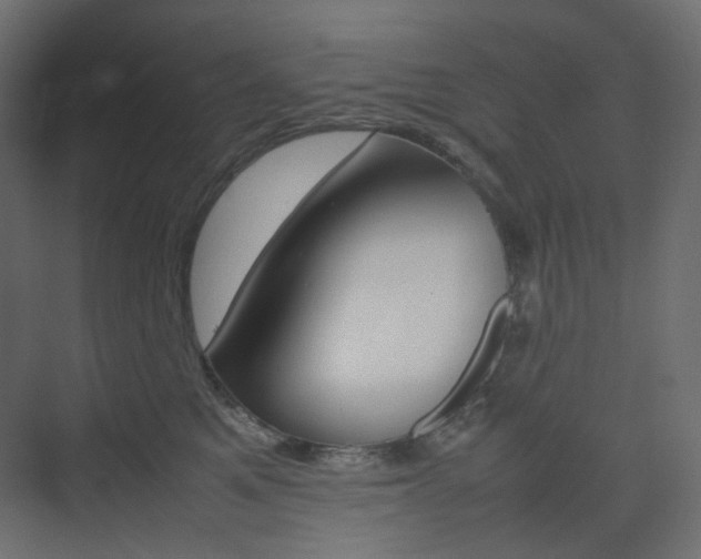 X0000074230521200608250819