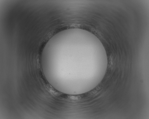X0000074230522200608250819