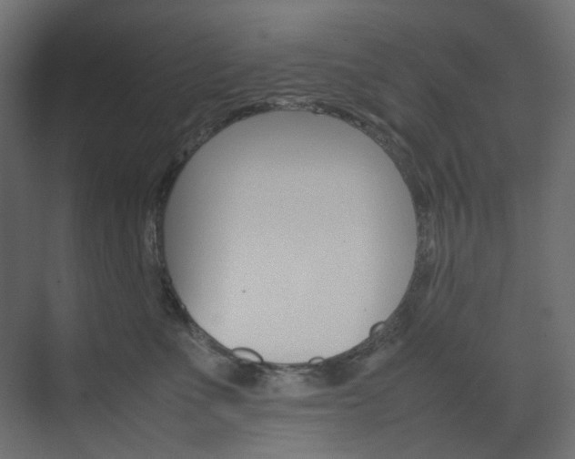 X0000074230523200608250819