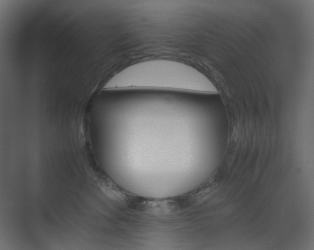 X0000074230524200608250819