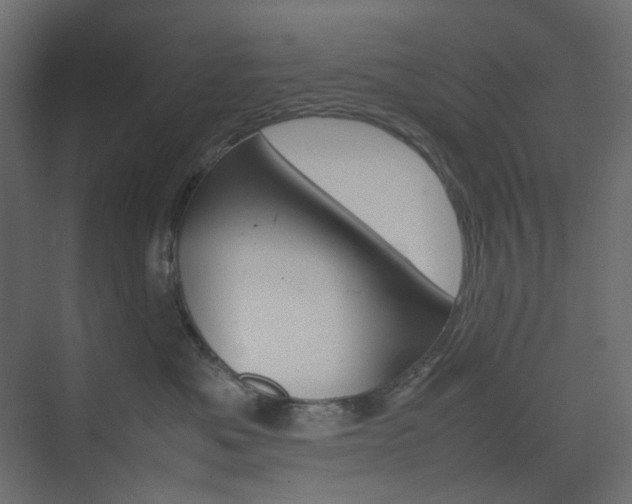 X0000074230525200608250819
