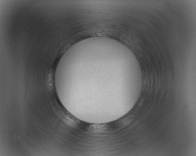 X0000074230526200608250819