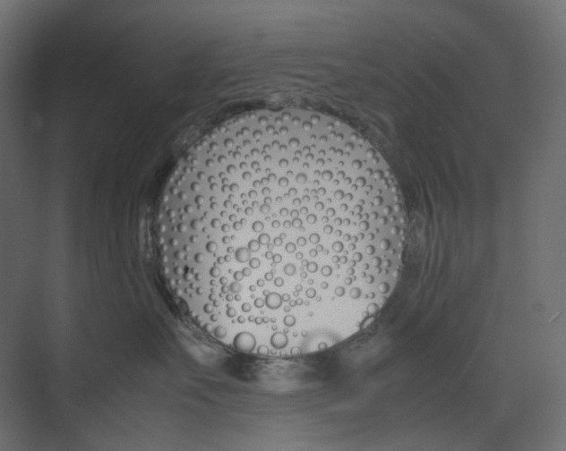 X0000074230527200608250819