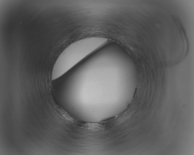 X0000074230528200608250819