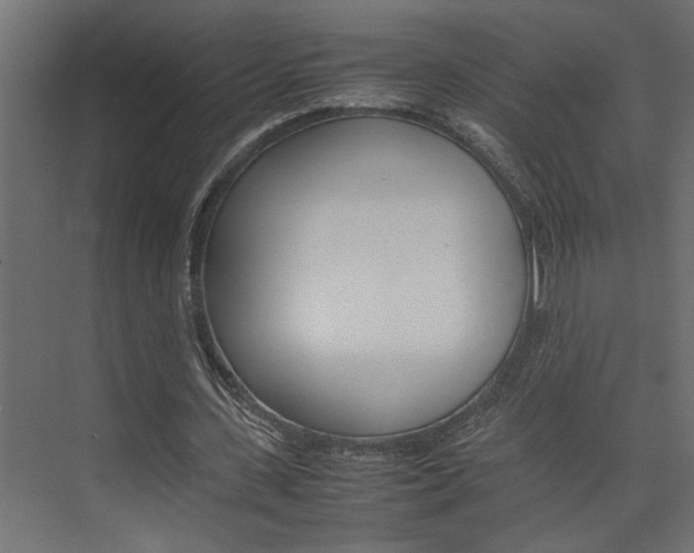 X0000074230531200608250819