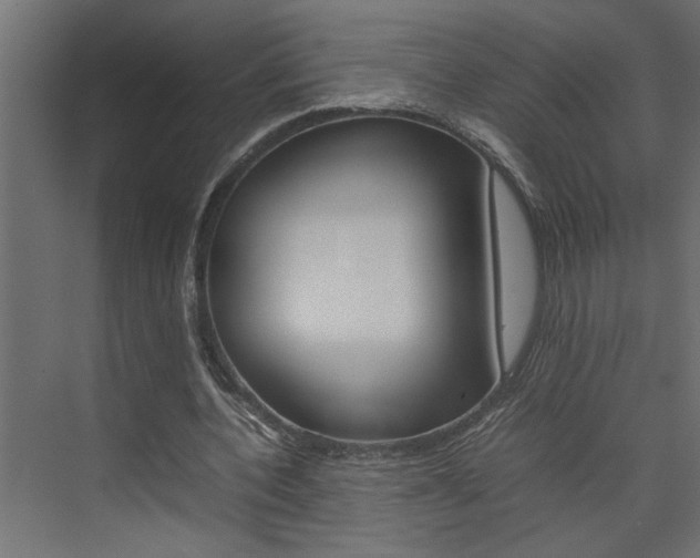 X0000074230532200608250819