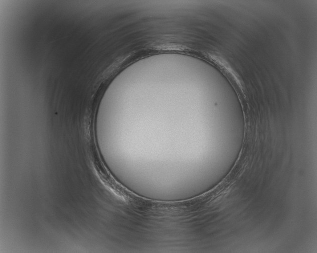 X0000074230533200608250819