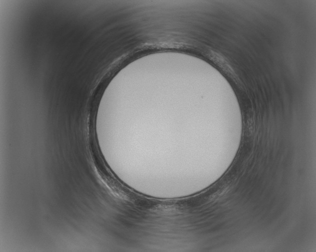 X0000074230534200608250819