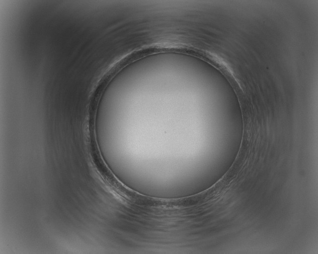 X0000074230535200608250819