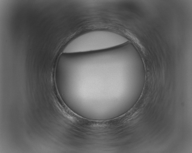 X0000074230537200608250819