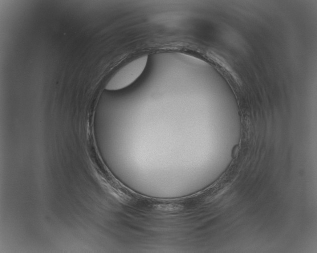 X0000074230541200608250819