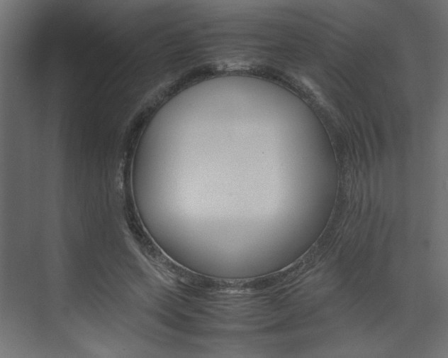 X0000074230543200608250819