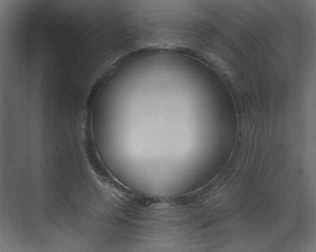 X0000074230544200608250819