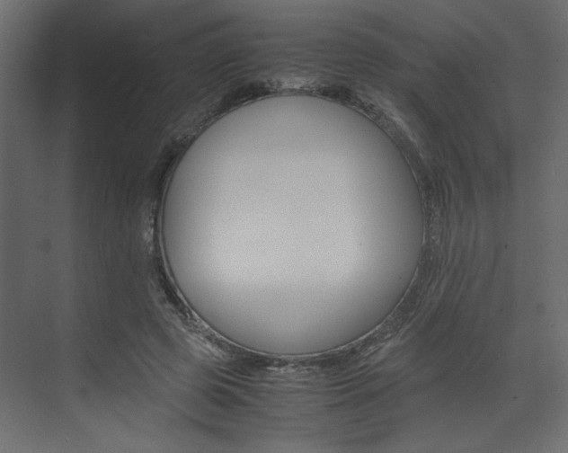 X0000074230545200608250819