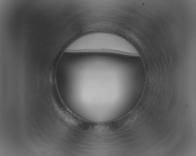 X0000074230546200608250819