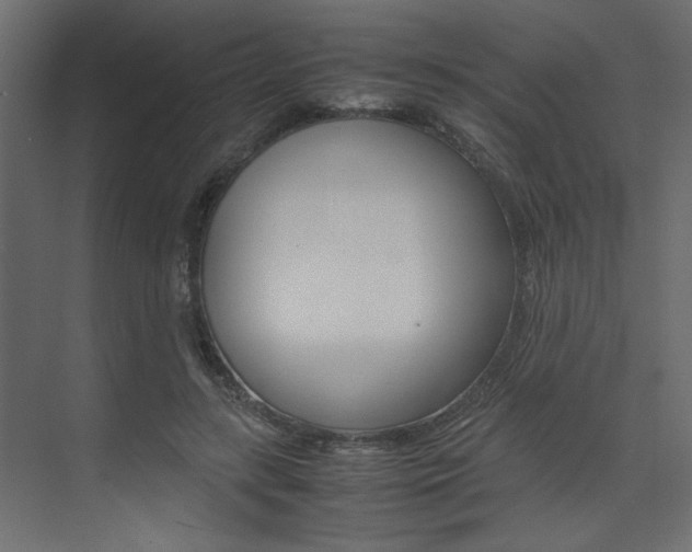 X0000074230547200608250819