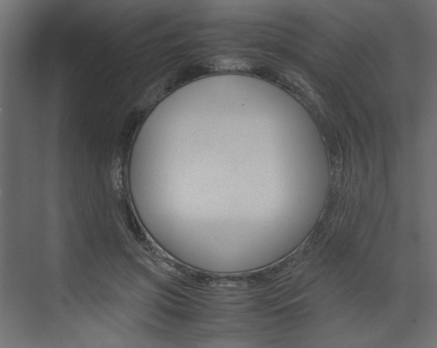 X0000074230549200608250819