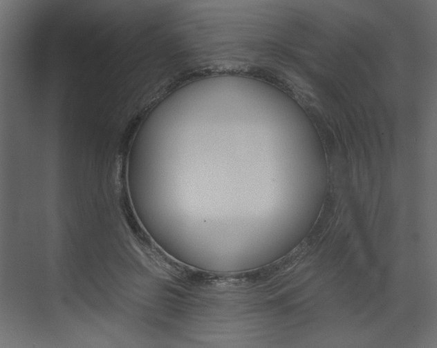 X0000074230550200608250819