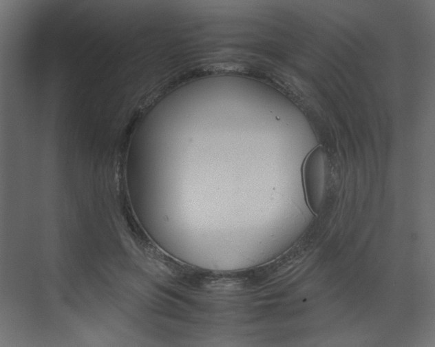 X0000074230551200608250819