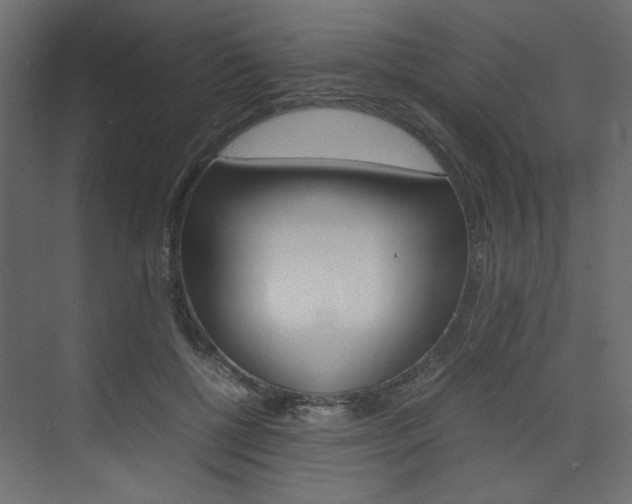 X0000074230552200608250819
