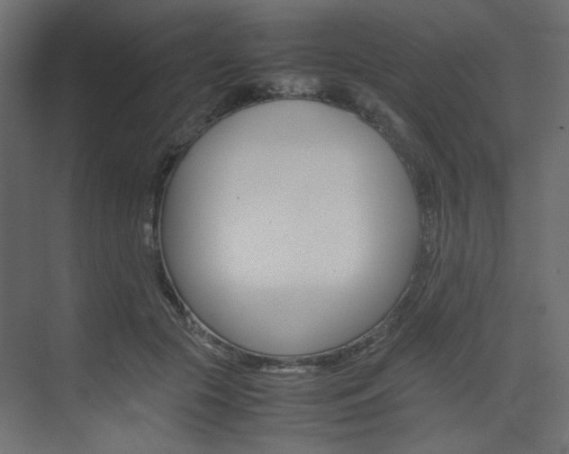 X0000074230553200608250819