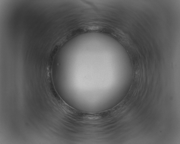 X0000074230555200608250819