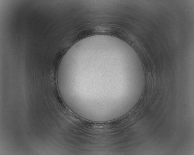 X0000074230557200608250819