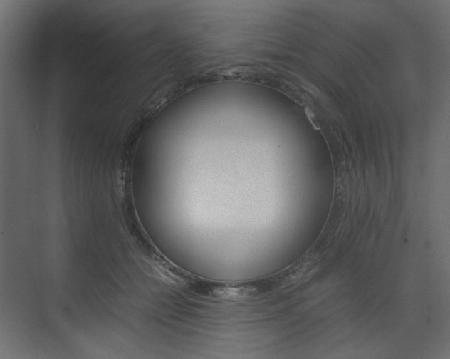 X0000074230558200608250819