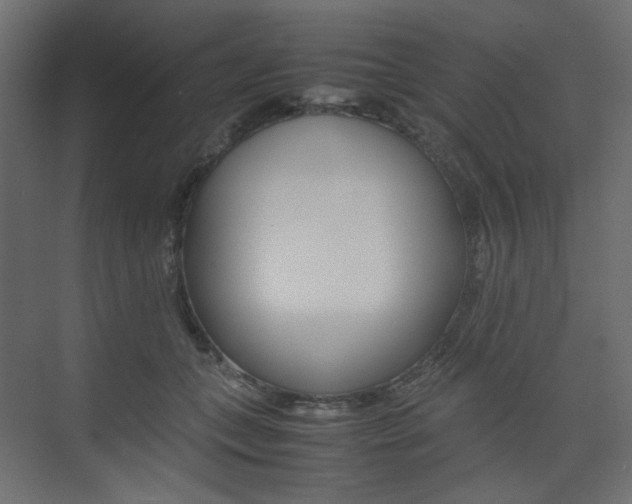 X0000074230559200608250819