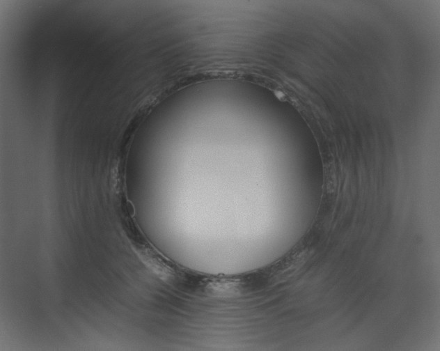 X0000074230560200608250819