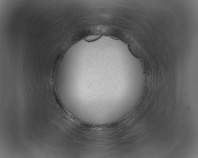 X0000074230561200608250819