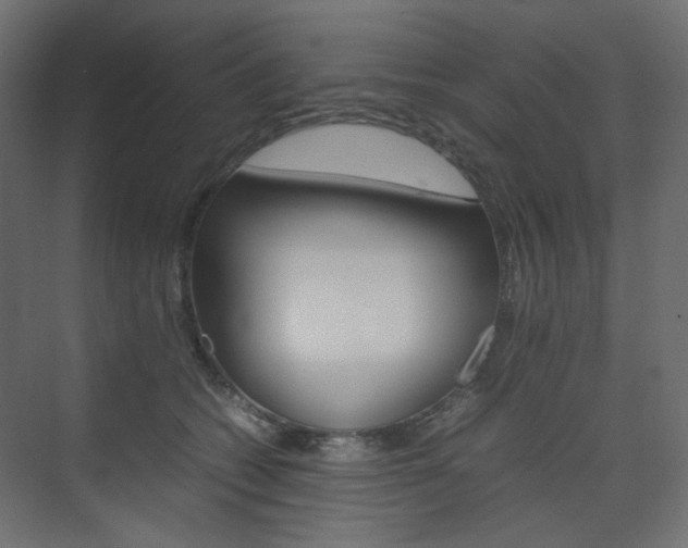 X0000074230562200608250819